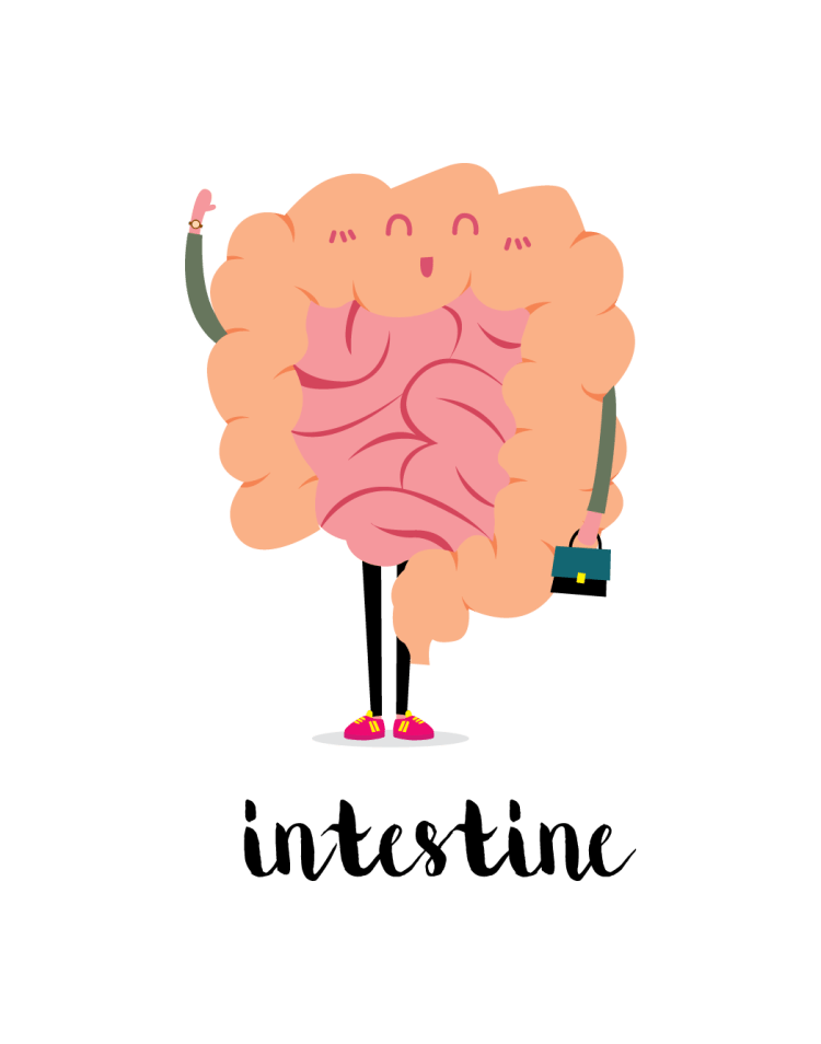 Cartoon of intestine